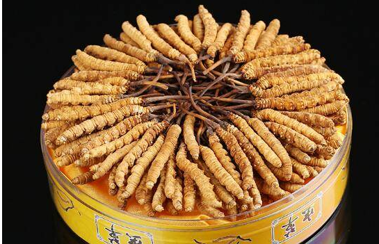 广州上门回收冬虫夏草